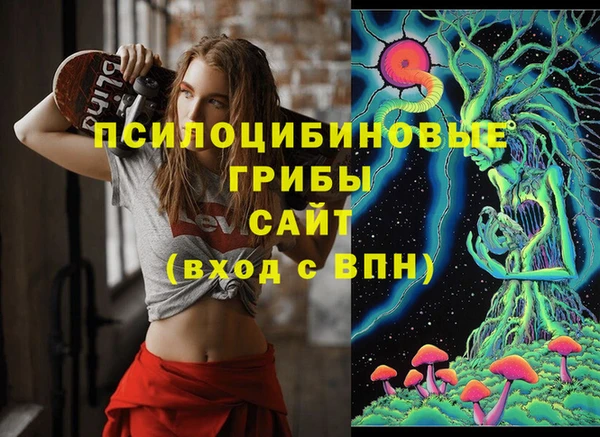 метадон Новозыбков