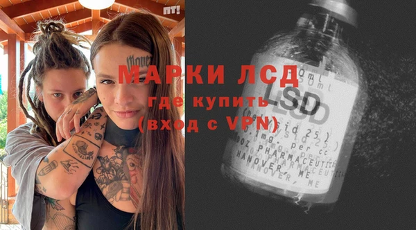 альфа пвп Новодвинск