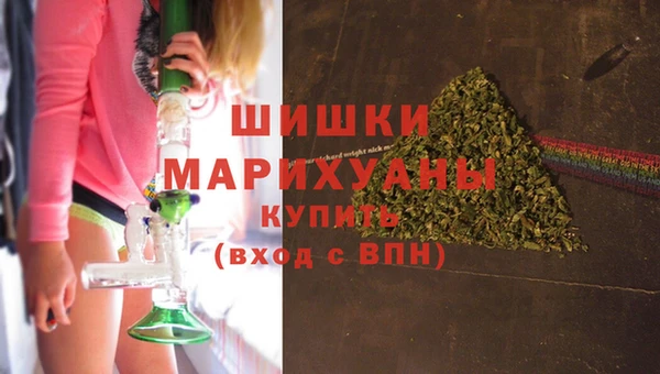 ПСИЛОЦИБИНОВЫЕ ГРИБЫ Няндома