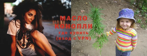 шишки Кадников