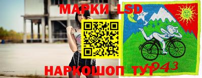 гидропоника Аргун