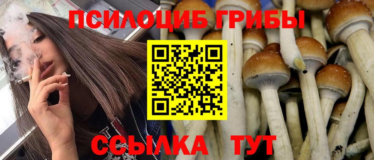 Коряжма  Псилоцибиновые грибы мухоморы  Вход с VPN 