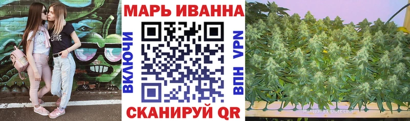 дарк нет официальный сайт  как найти   Коряжма  Шишки марихуана индика 
